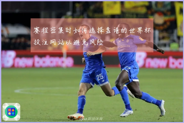 赛程密集时如何选择靠谱的世界杯投注网站以避免风险